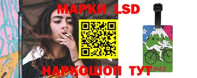 амф Камышлов