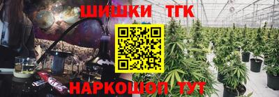 амф Камышлов