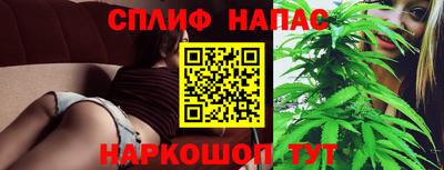 амф Камышлов