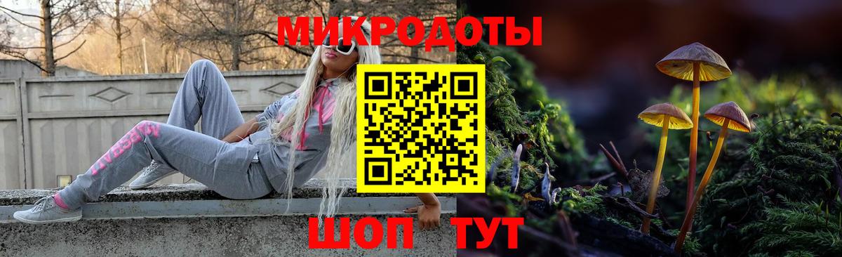 Галлюциногенные грибы мицелий Энгельс