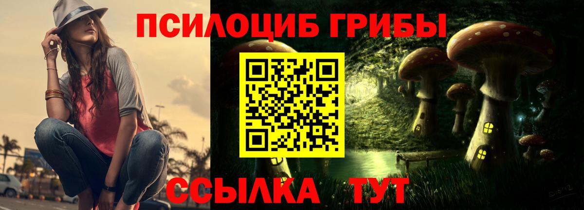 Энгельс  Псилоцибиновые грибы MAGIC MUSHROOMS  Вход с VPN 